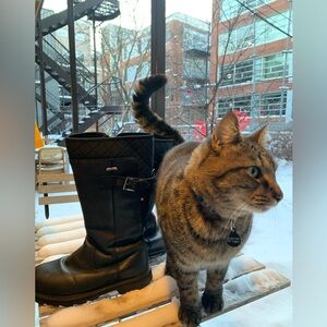 NexGrip Lylia 2.0 Tall Ice Cleat Boots / Bottes hiver crampons